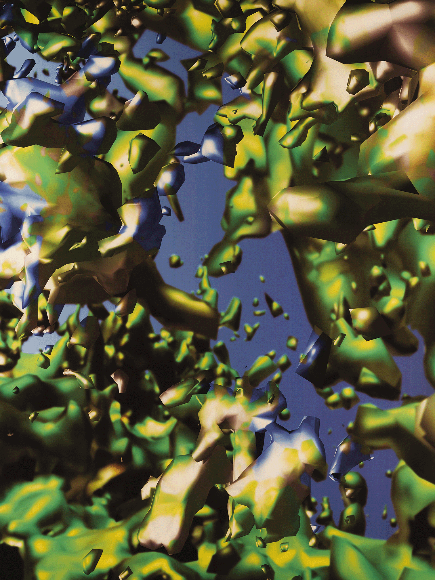 algae image 3